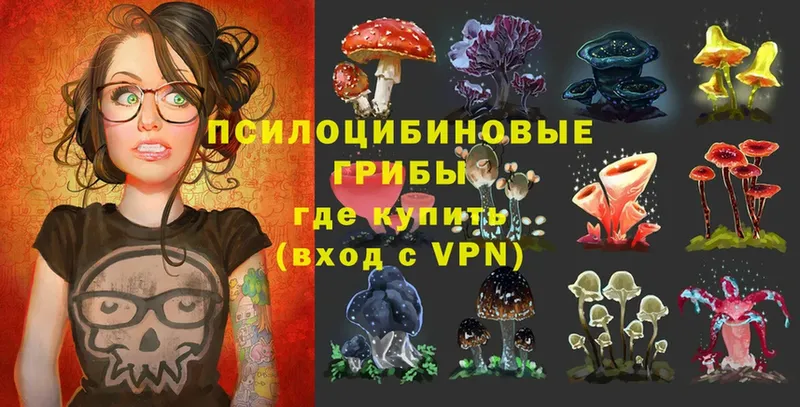 Псилоцибиновые грибы MAGIC MUSHROOMS  ОМГ ОМГ зеркало  Менделеевск 